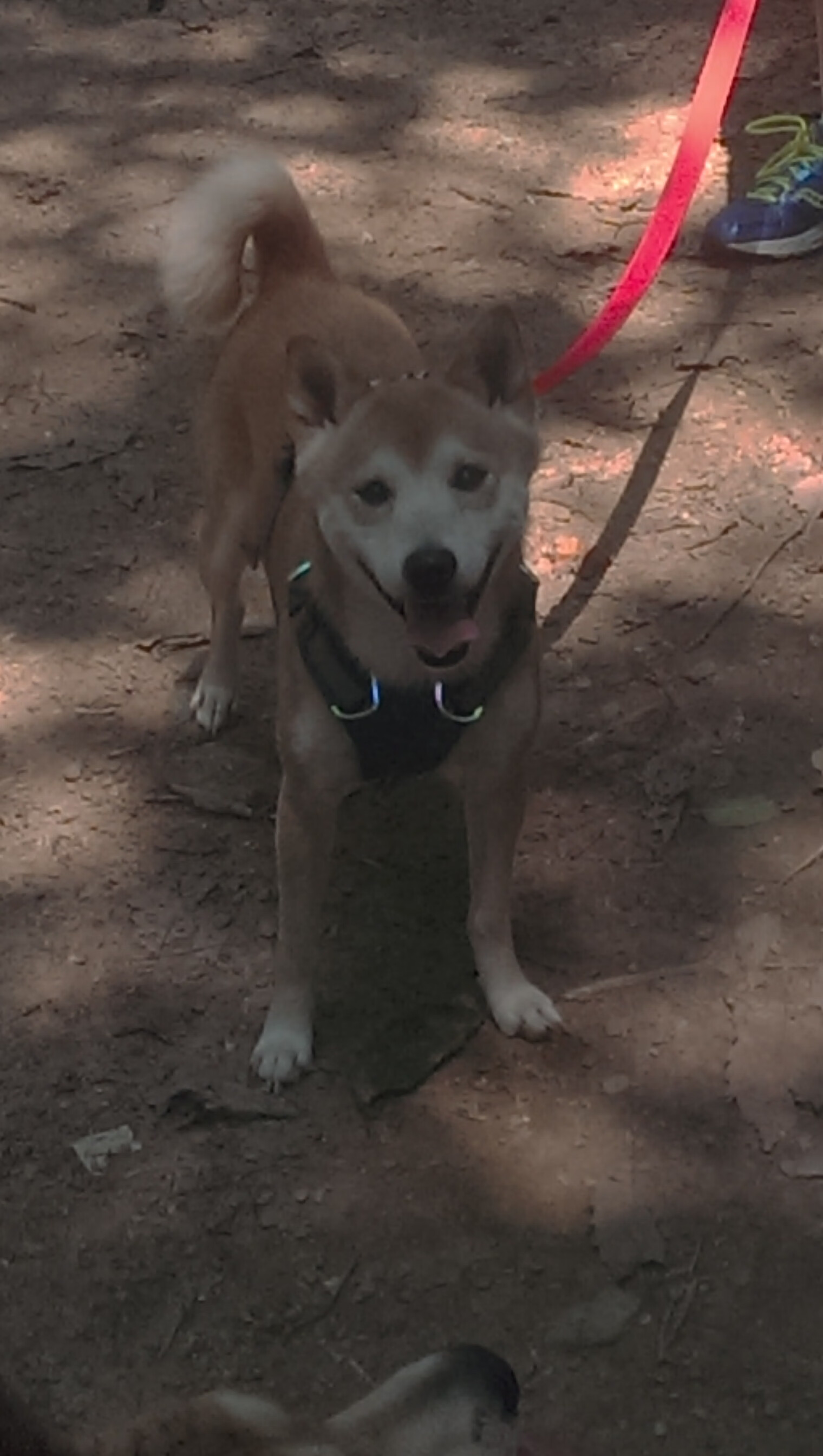 高校运动员心理调节干预策略及效果评估，如何做好运动员的心理调试