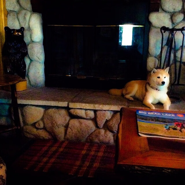 中国男篮优化阵地战传导提升进攻效率，中国男篮 迎战