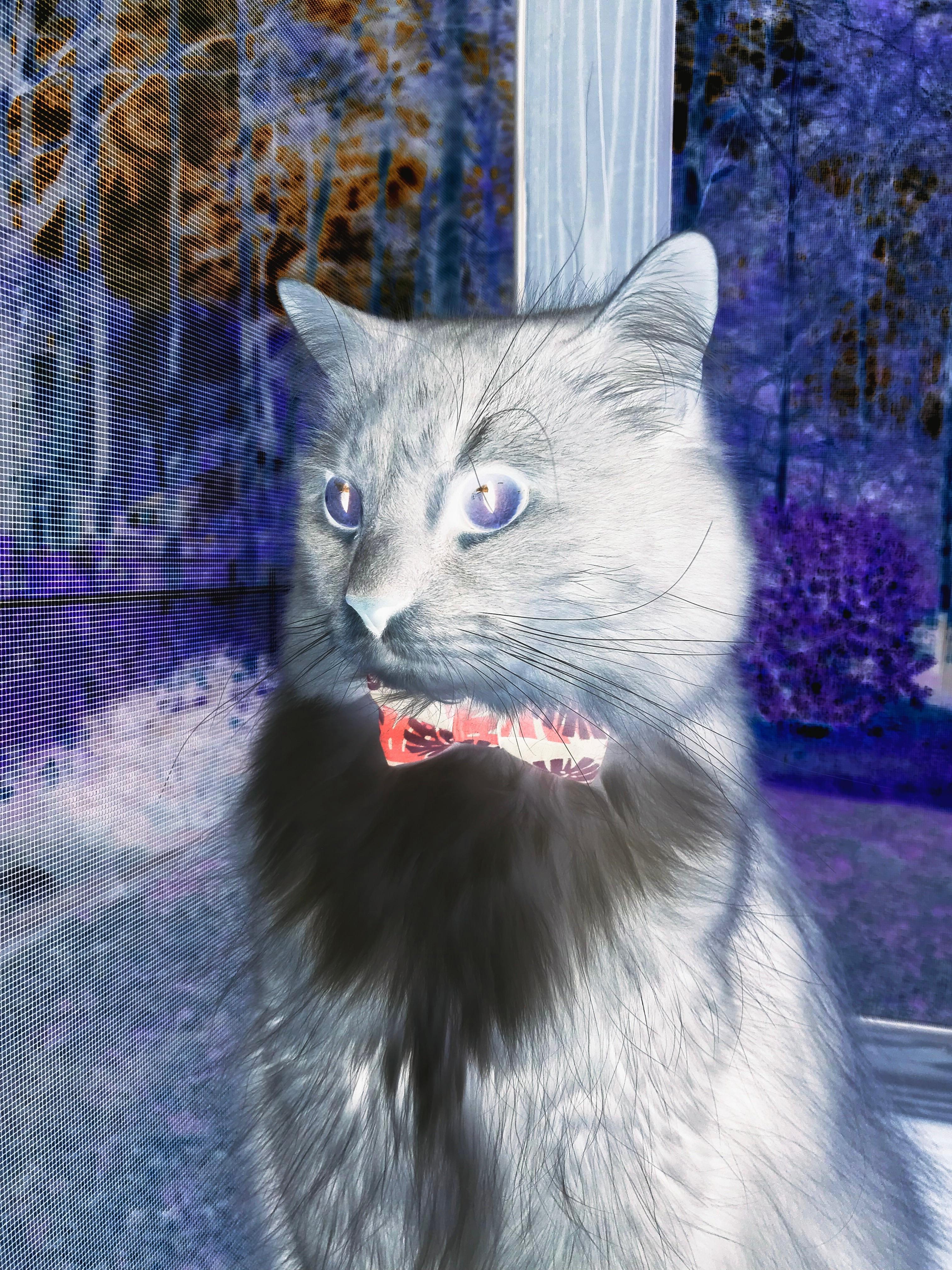 俱乐部战略规划与执行力不足，俱乐部战略规划与执行力不足怎么办