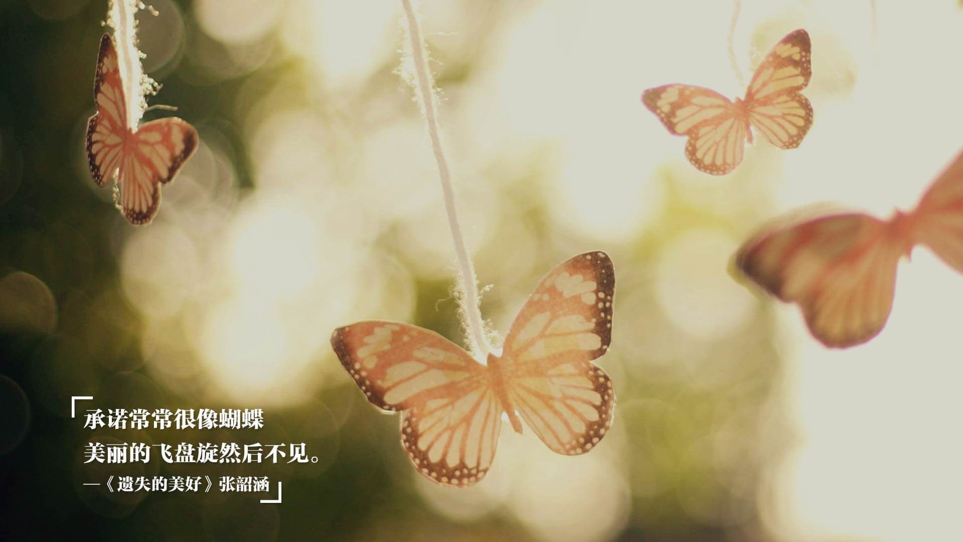 Kaiyun APP-苏炳添赛季首秀跑出惊艳成绩，苏炳添赛季首秀跑出惊艳成绩是哪一集