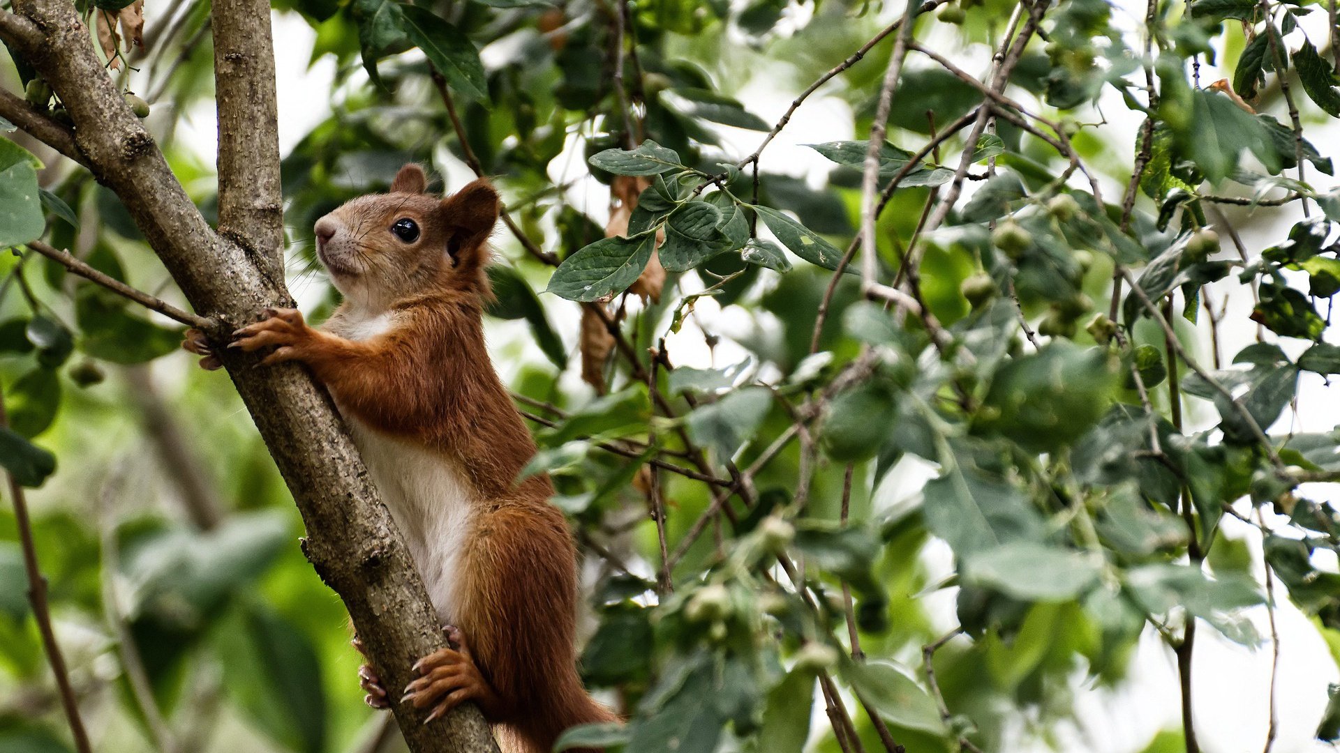 进攻端二点球拼抢成功率是否影响破门质量,两点攻球技术