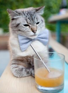 队内战术会议如何提升比赛执行效率，比赛战略战术