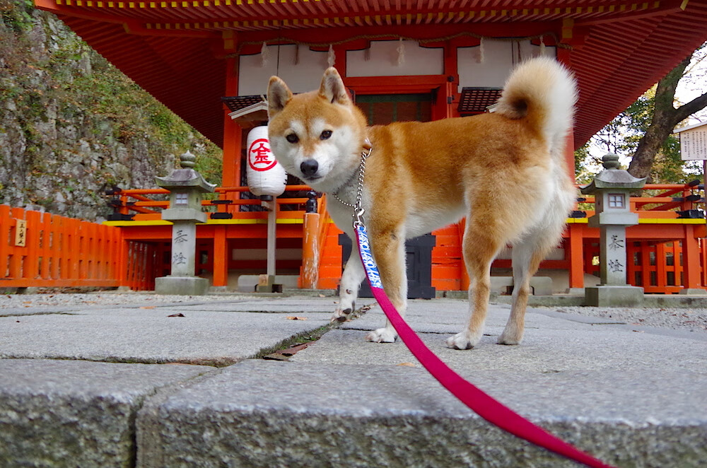 世界杯最燃集锦:激烈拼搏瞬间集萃,世界杯精彩集锦视频