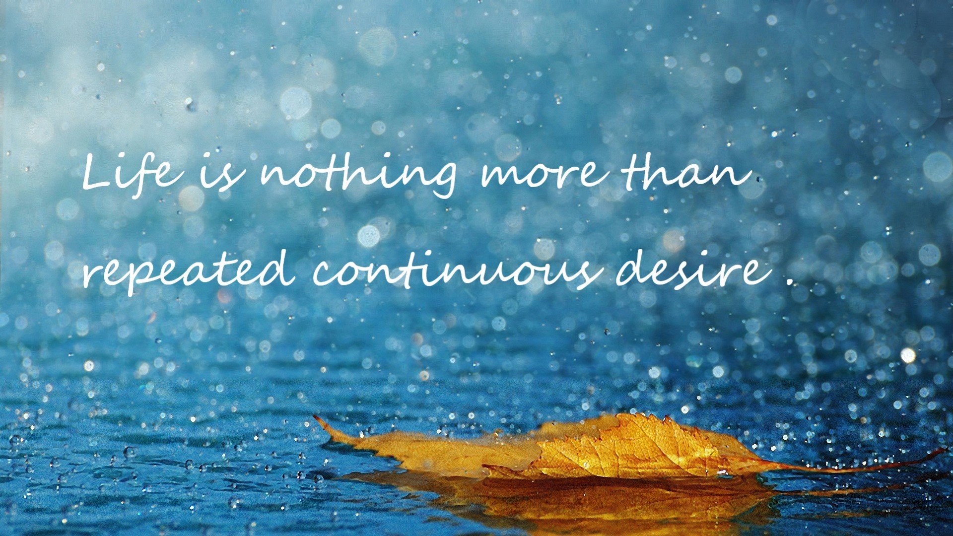 开云电竞在线-体育新闻中心跨界明星动态，体育明星跨界娱乐圈